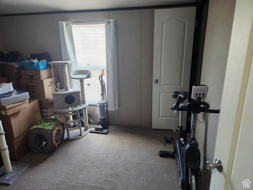 Workout area with carpet flooring