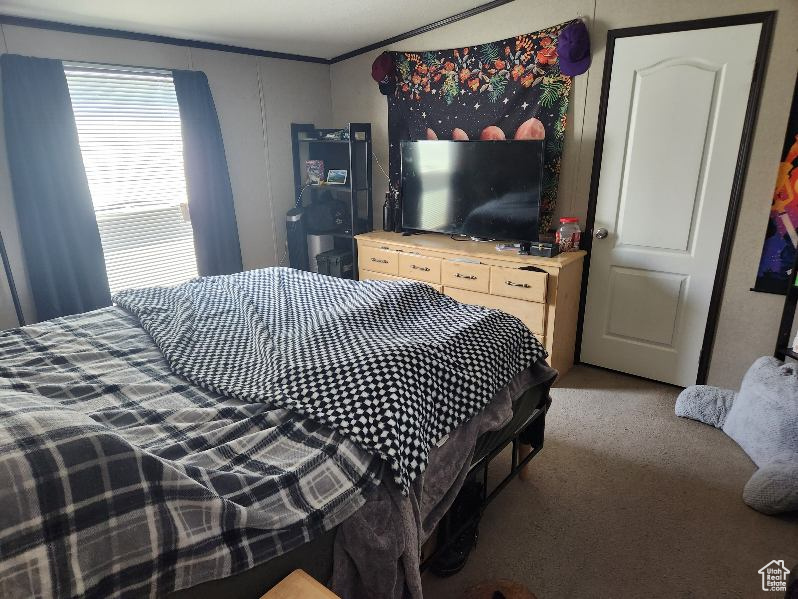 Bedroom with carpet and ornamental molding