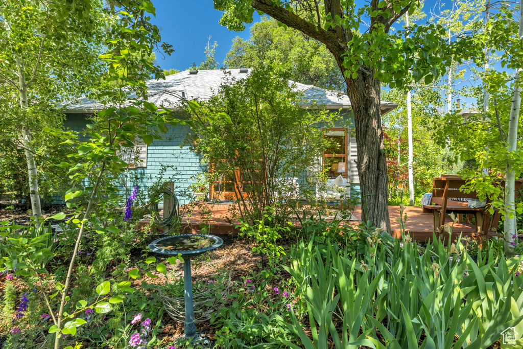 View of yard with a deck