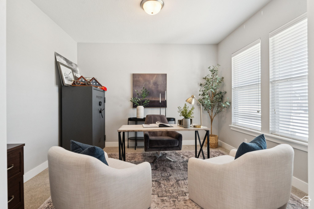Office with carpet and baseboards