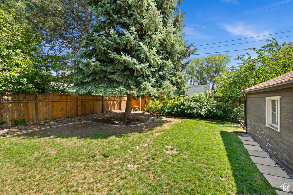 View of fenced backyard