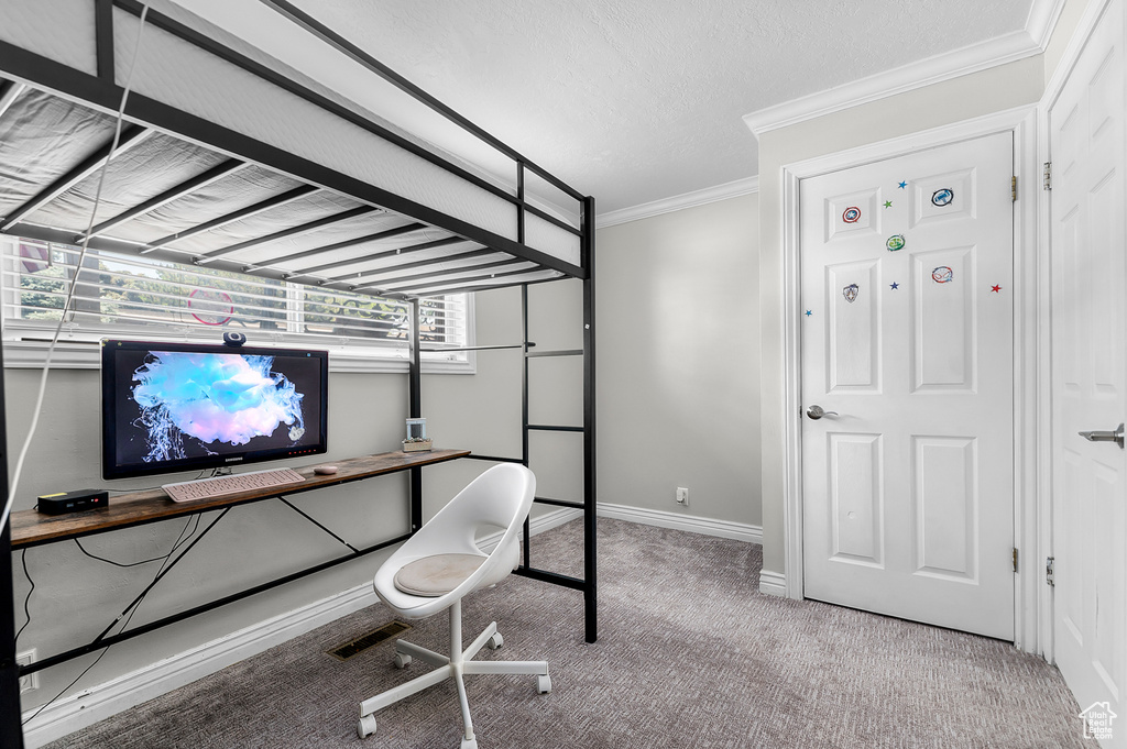 Office area featuring carpet floors, ornamental molding, and a textured ceiling