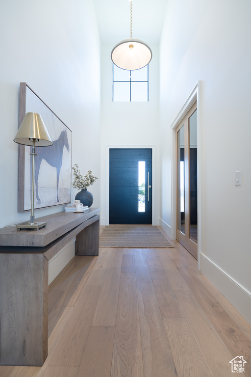 Foyer featuring wood finished floors, plenty of natural light, and a high ceiling