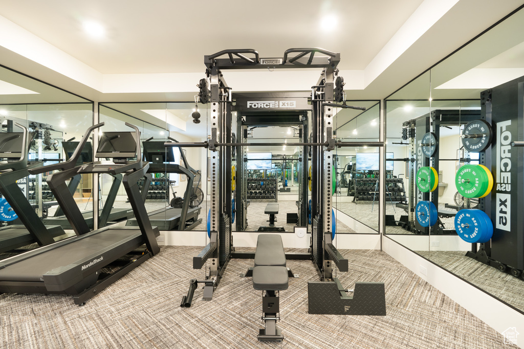 Exercise room featuring carpet