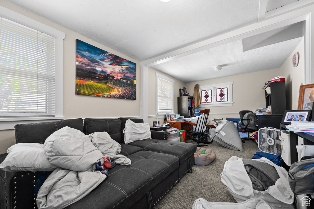 Living area featuring carpet and healthy amount of natural light