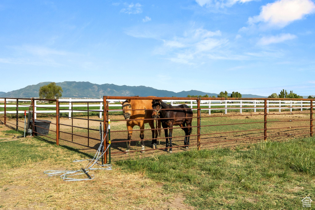 View of yard featuring a view of countryside and a mountain view