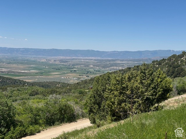 View of mountain backdrop with a forest