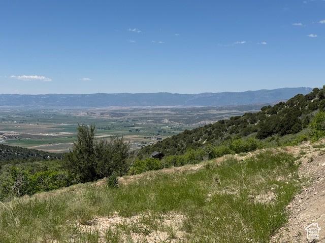 View of mountain background