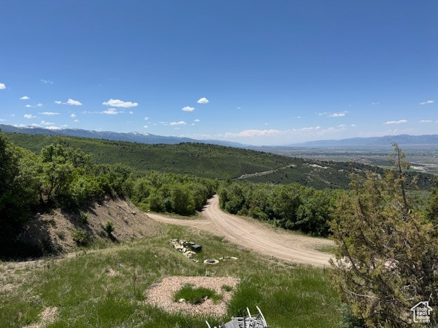 Drone / aerial view of a heavily wooded area and mountains