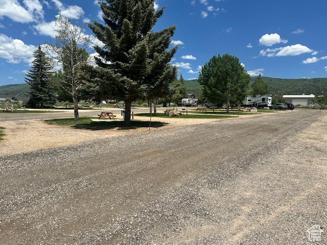 View of dirt / gravel road