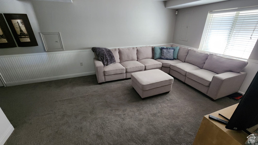 Carpeted living room featuring wainscoting and electric panel