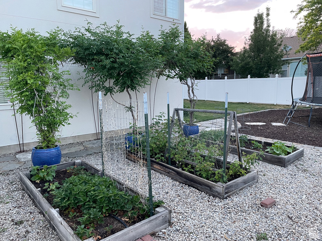 View of yard featuring a garden and a trampoline