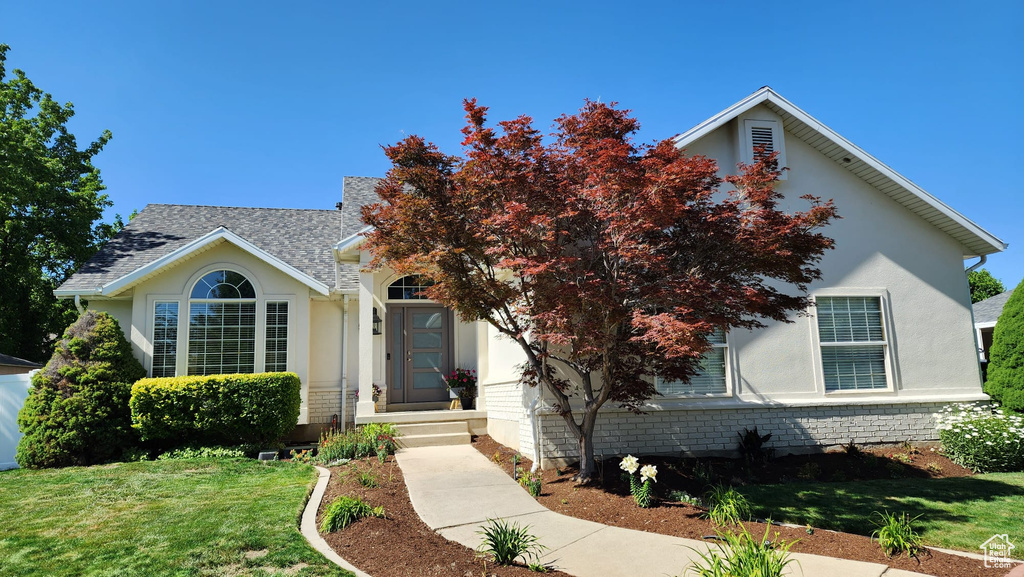 View of property hidden behind natural elements featuring stucco siding and a front lawn