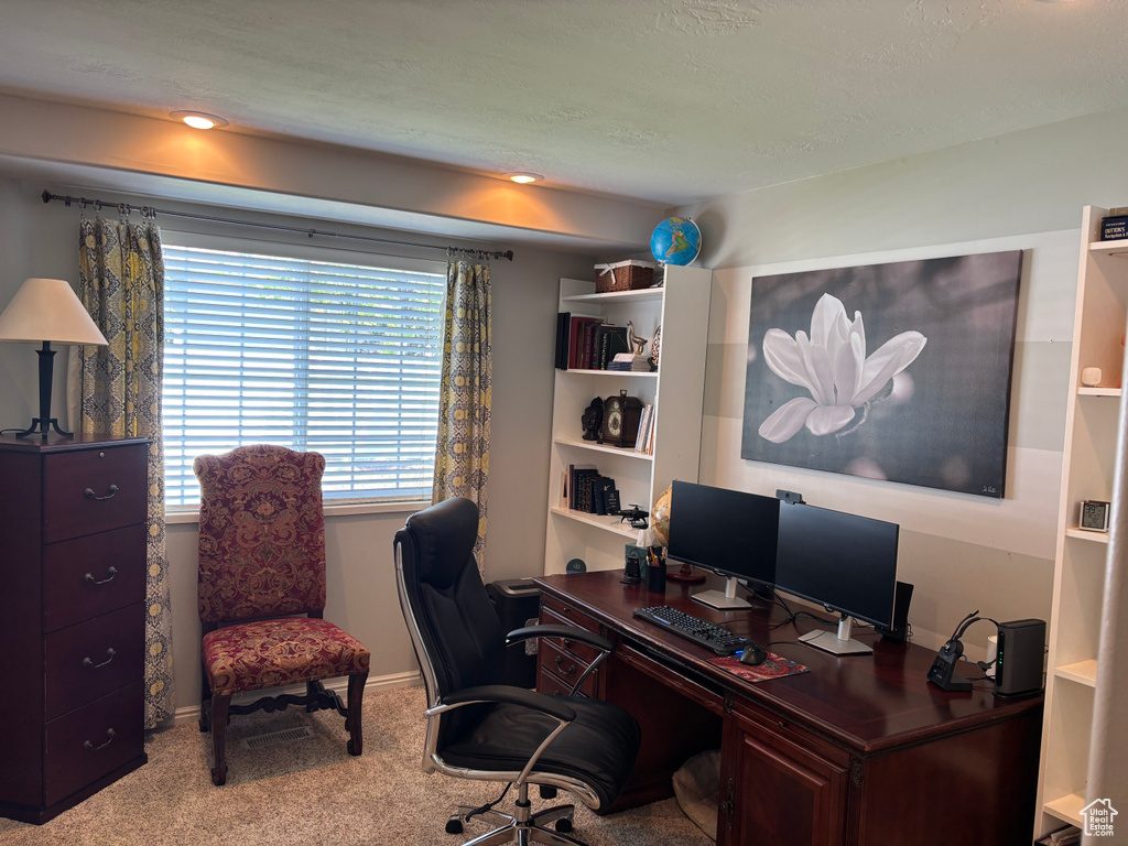 Carpeted office space with baseboards