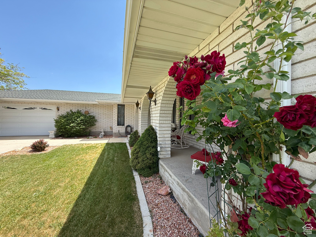 View of exterior entry with brick siding, a yard, driveway, an attached garage, and a shingled roof