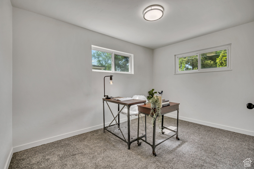Carpeted home office featuring healthy amount of natural light