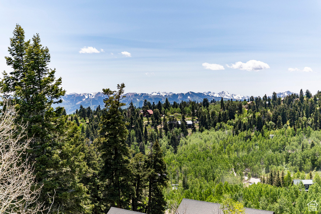 Mountain view featuring a heavily wooded area