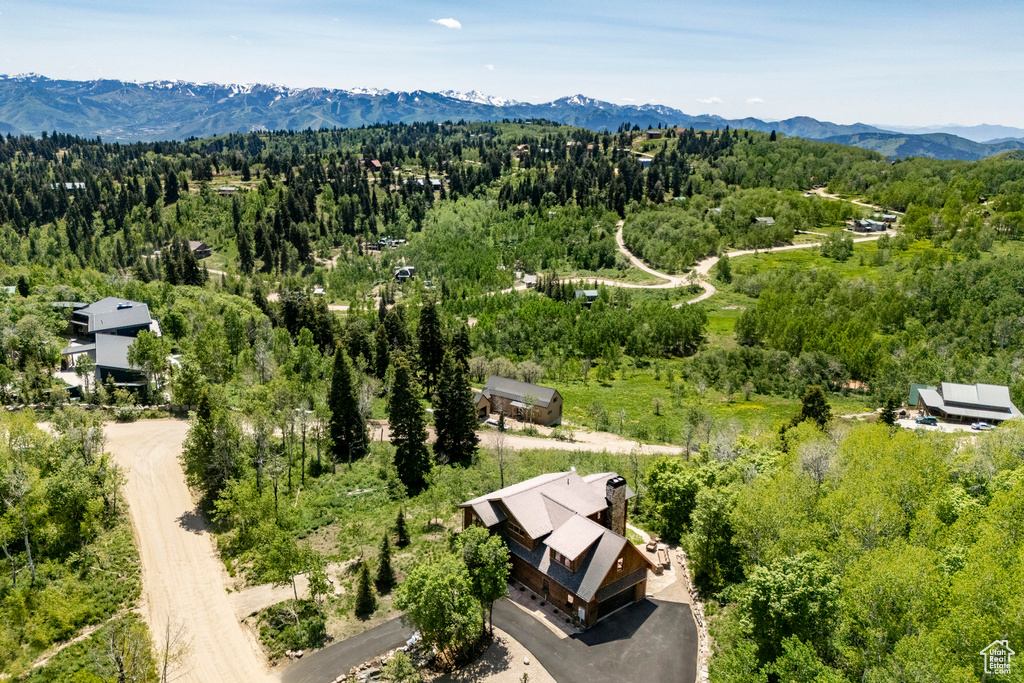 Drone / aerial view of a forest and a mountainous background