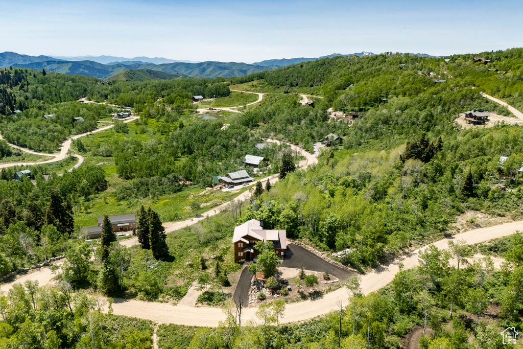 Drone / aerial view of a forest and a mountain backdrop