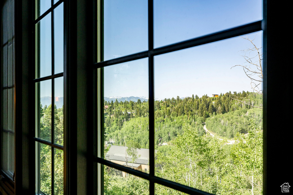 Detailed view of a forest and mountains