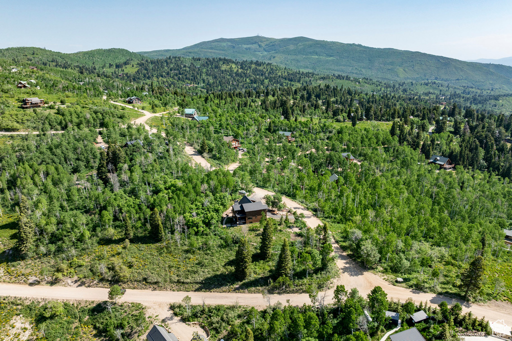 Bird's eye view of a forest and mountains