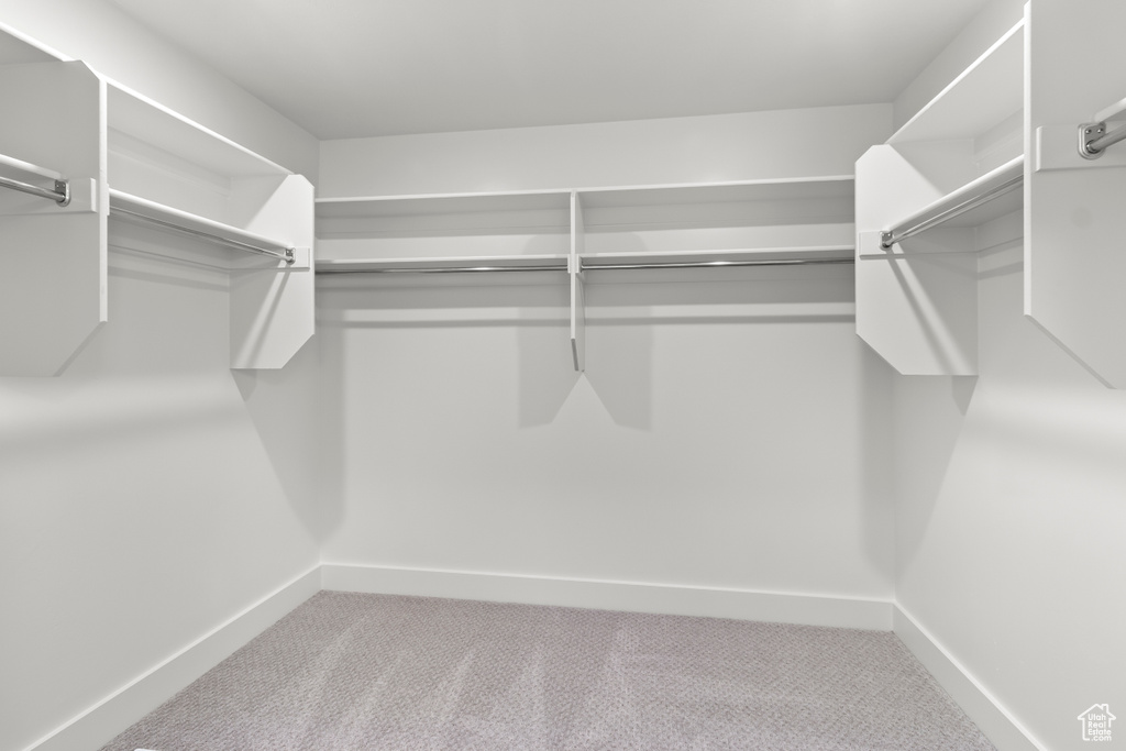 Walk in closet featuring carpet flooring