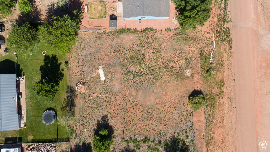 Bird\'s eye view