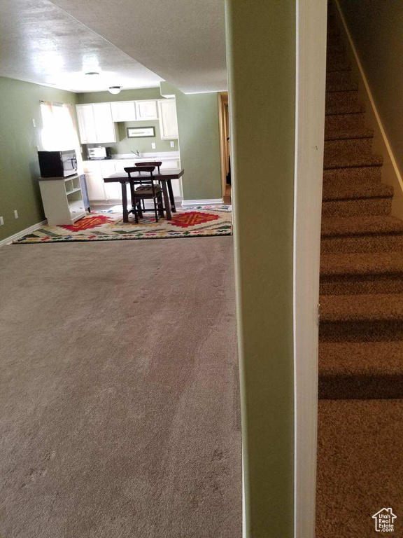 Stairway with carpet and a textured ceiling