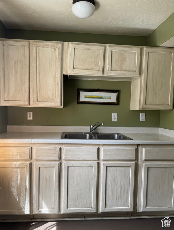 Kitchen featuring light brown cabinetry and light countertops