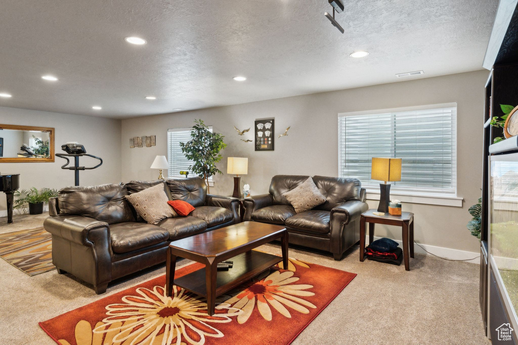 Carpeted living area with recessed lighting, healthy amount of natural light, a textured ceiling, and baseboards
