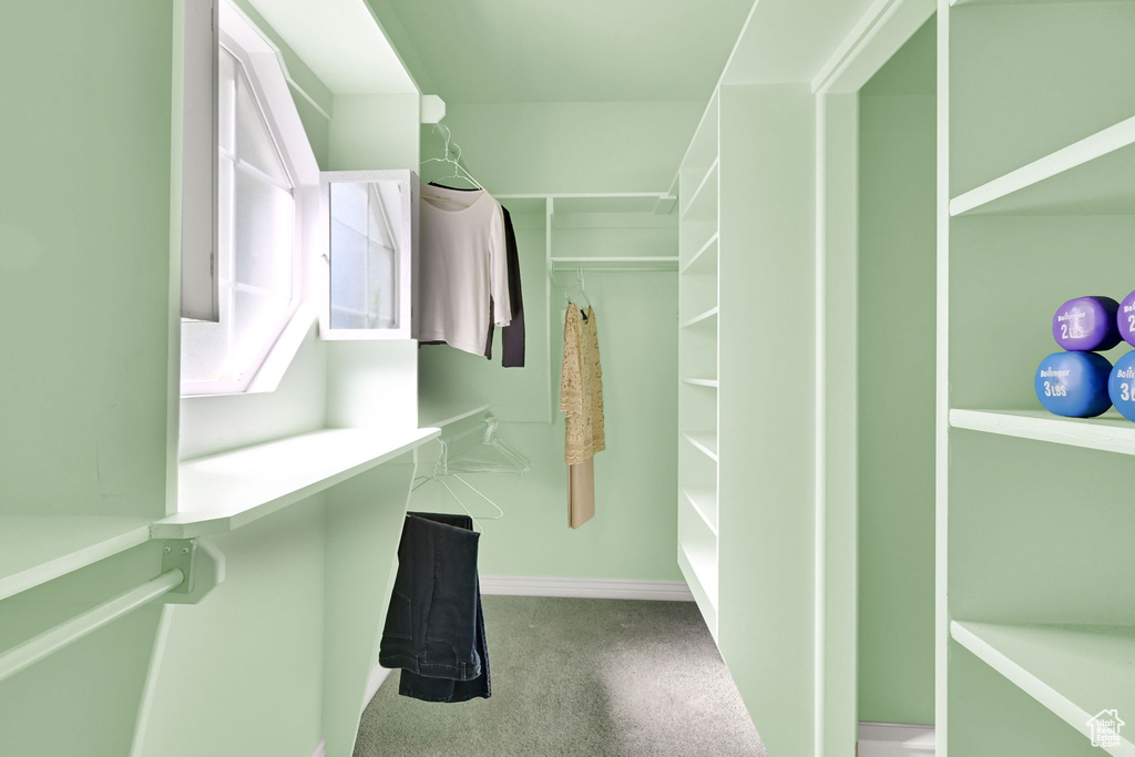 Walk in closet featuring carpet