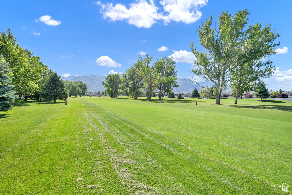View of home\\\'s community featuring a mountain view, a yard, and view of golf course