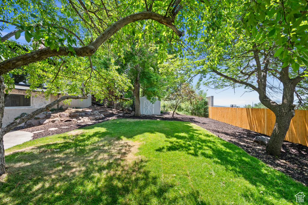 View of yard with a storage shed