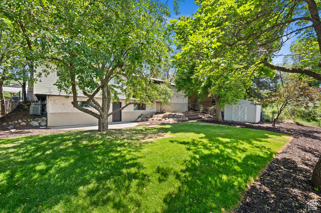 View of grassy yard featuring a shed