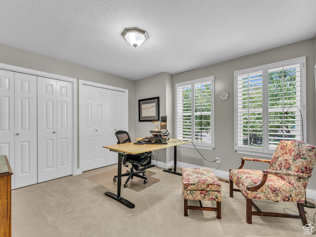 Home office with carpet and a textured ceiling