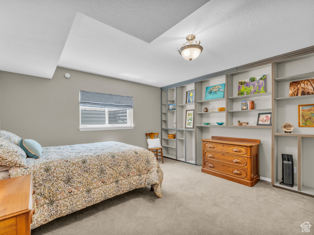 Bedroom with carpet