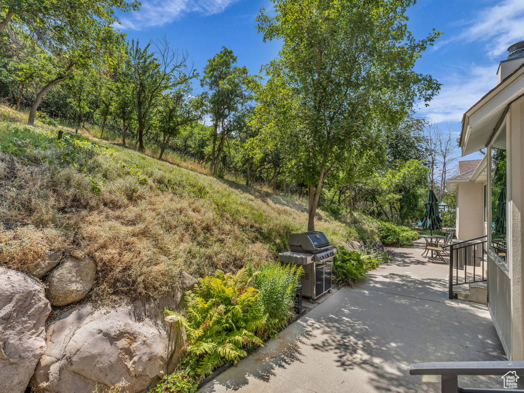 View of yard featuring a patio area