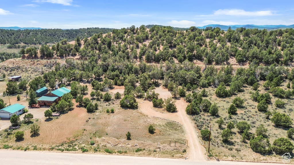 Aerial view of a mountainous background and a forest