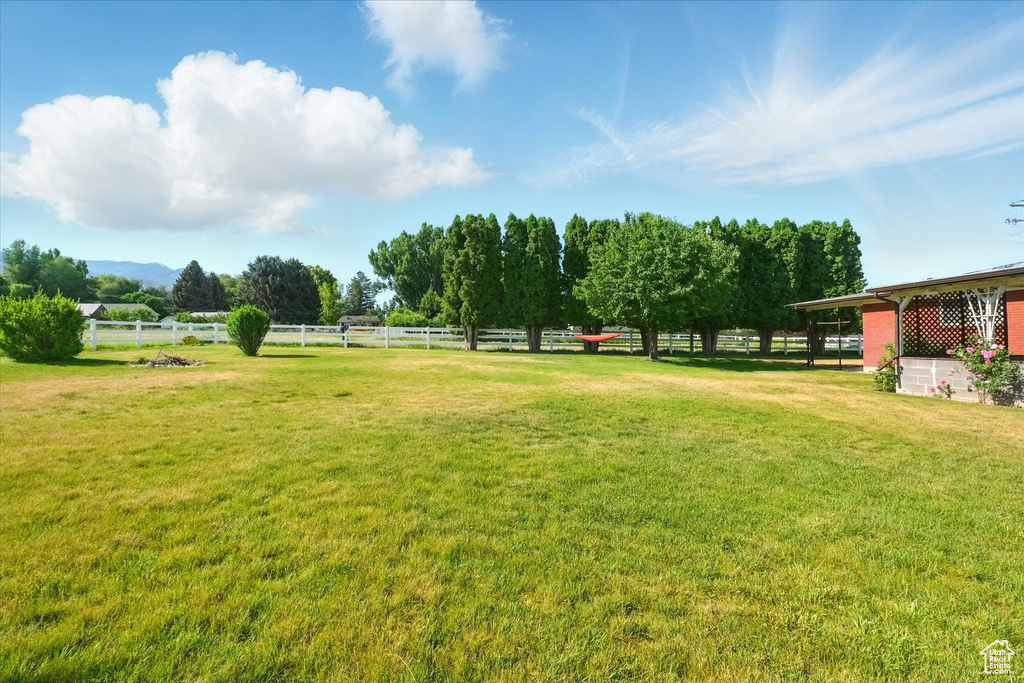 View of yard