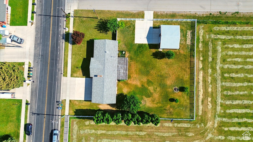Bird\'s eye view