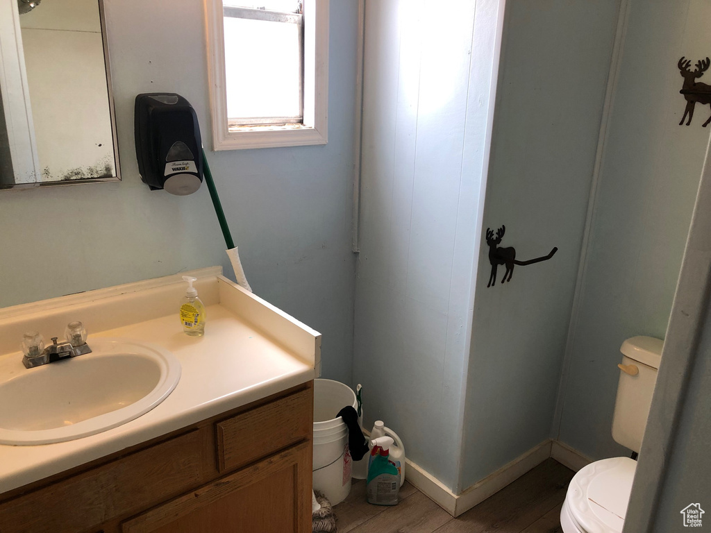 Bathroom featuring vanity and wood finished floors