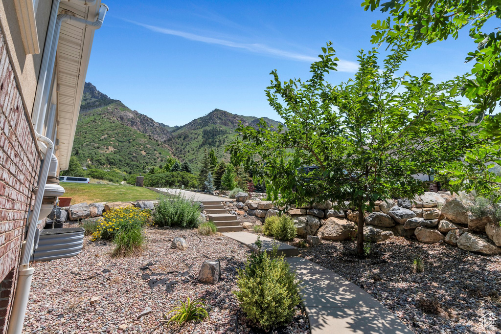 View of mountain background