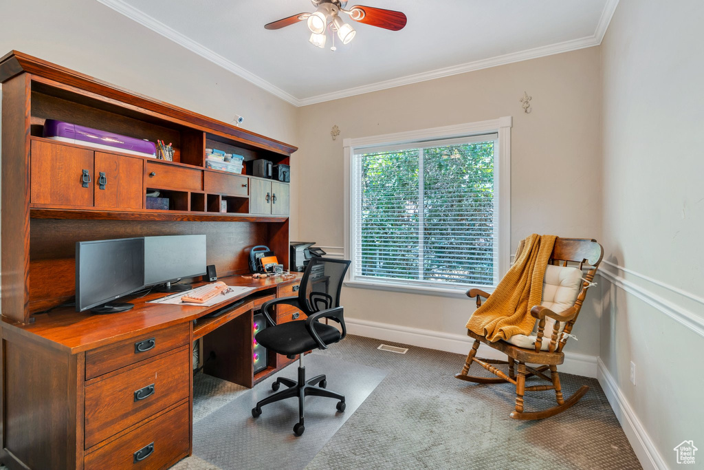 Carpeted office space with a ceiling fan and ornamental molding