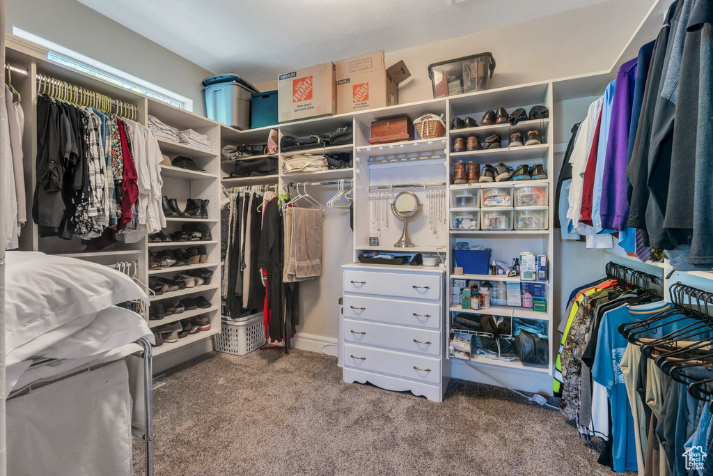 Spacious closet featuring carpet floors