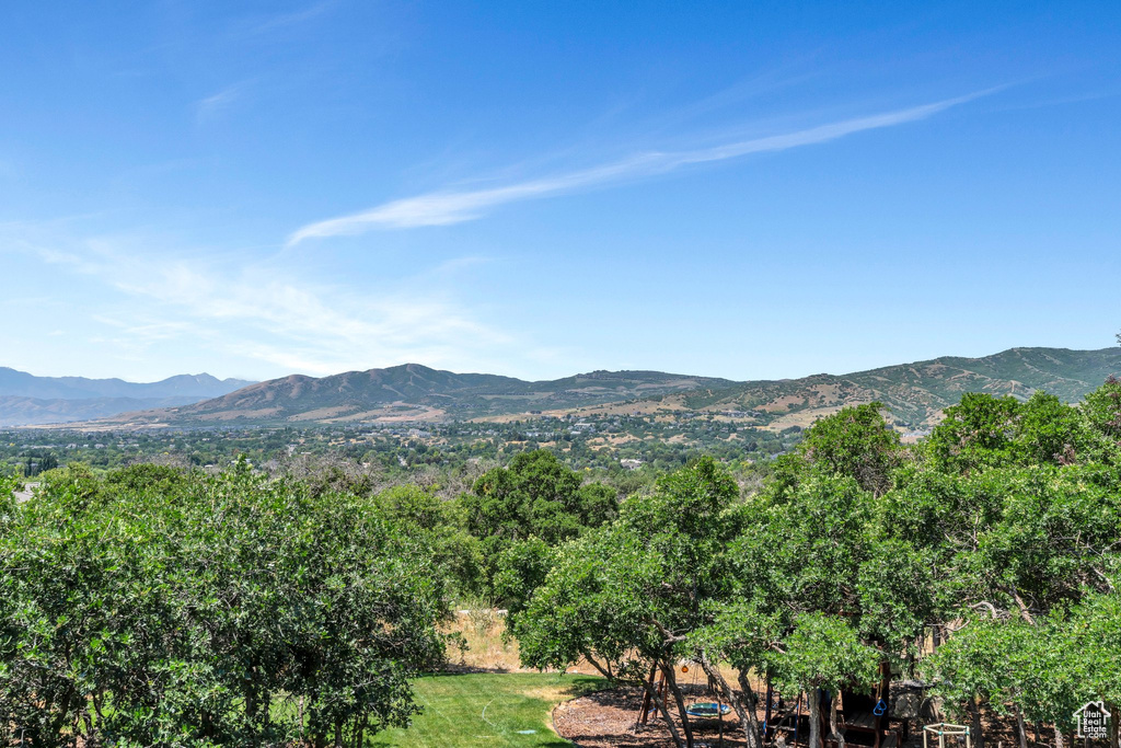 Mountain view