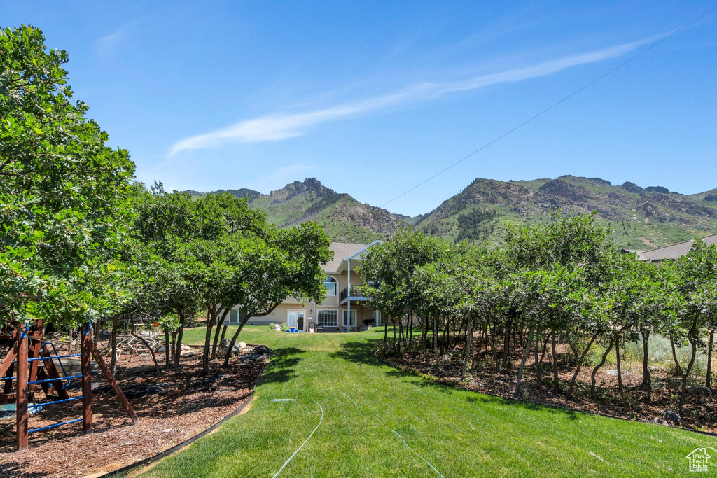 View of green lawn featuring a mountain view