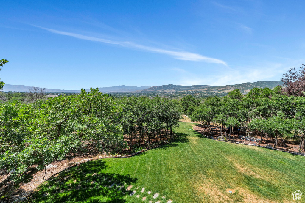 View of grassy yard with a mountain view