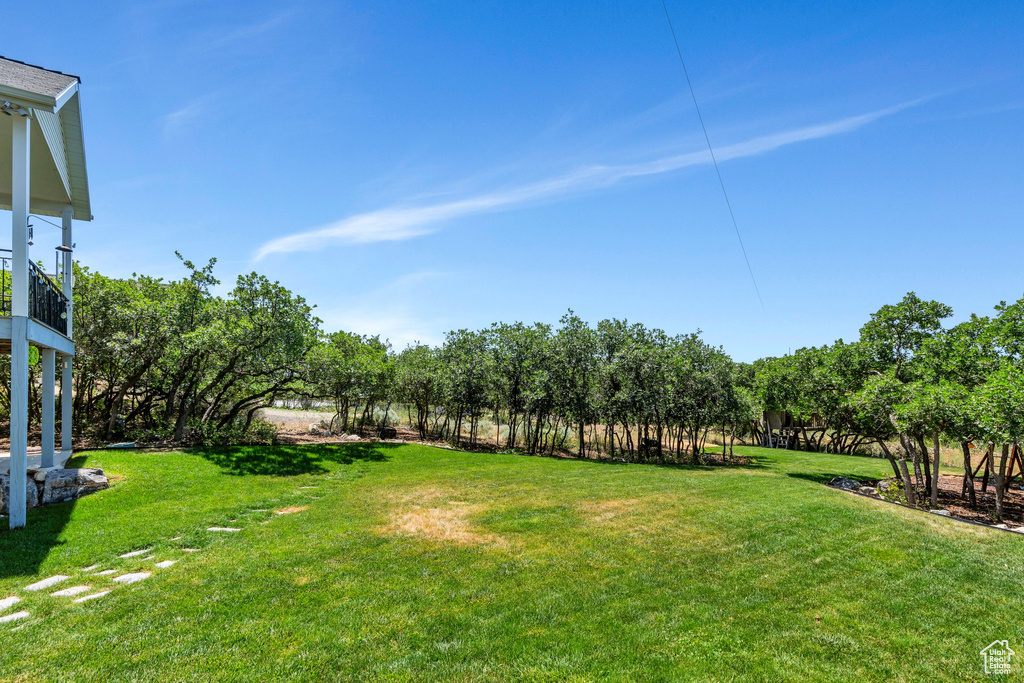 View of grassy yard with view of scattered trees