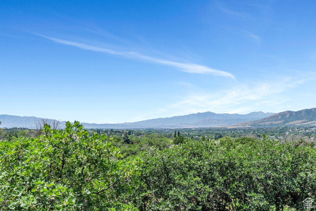 Mountain view
