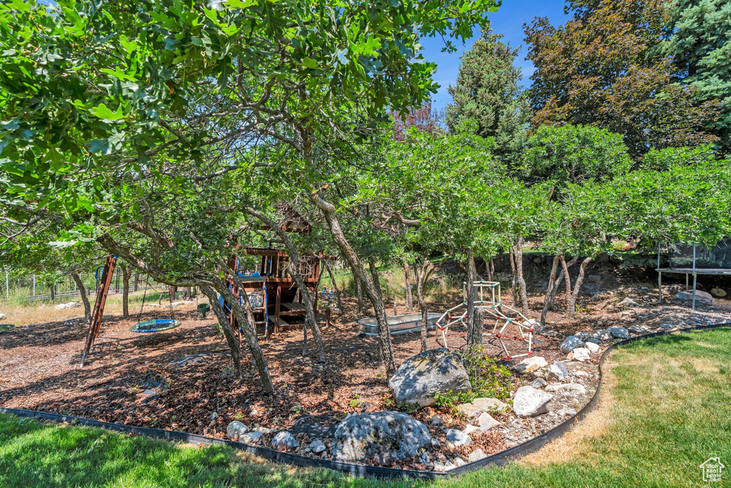 View of yard with a playground and view of scattered trees